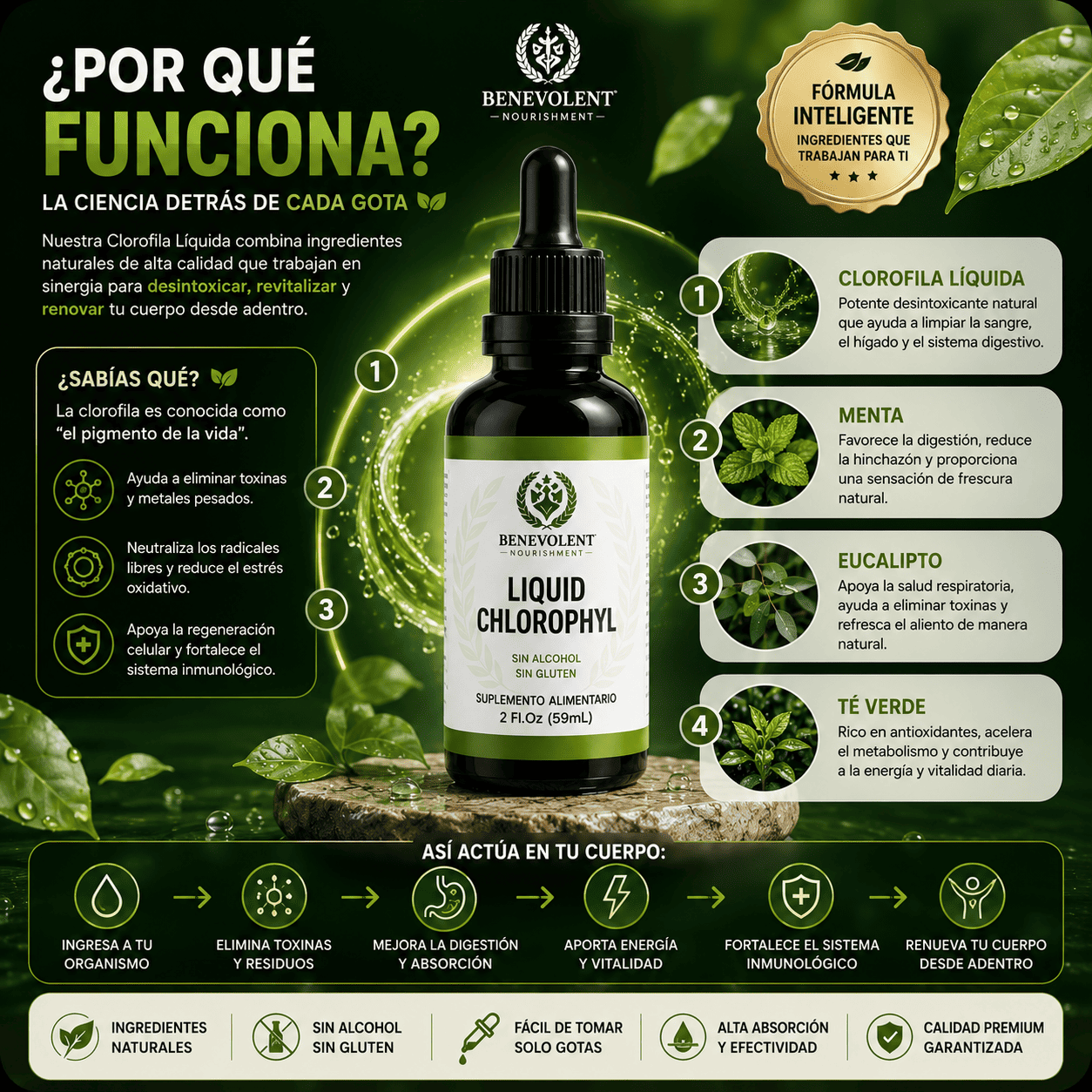 CLOROFILA BENEVOLENT X 60 ML