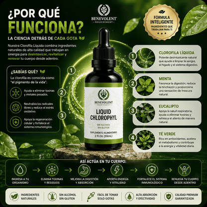 CLOROFILA BENEVOLENT X 60 ML